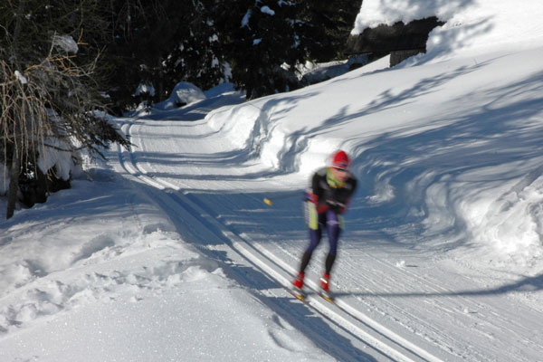 Discover Pristine NM Cross Country Skiing