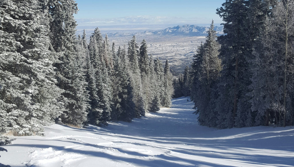 Powder & Light – Skiing NM