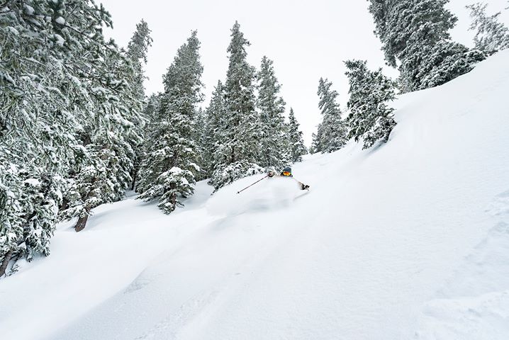 26″ and counting